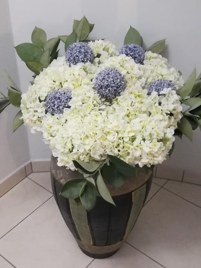 Hotel Europa - Family And Senior Friendly كافالا المظهر الخارجي الصورة
